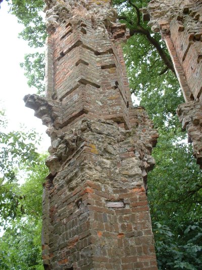 {short description of image}