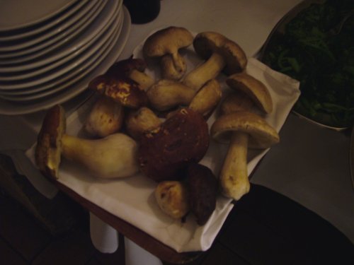 1 Rome Porcini