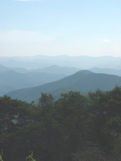 Blue Mtns