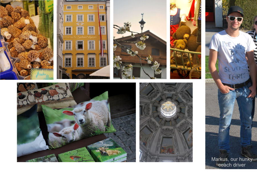 Collage April Salz c