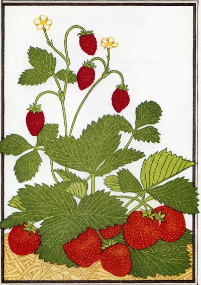 Menu Chez Panisse.jpg