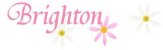 Banner Brighton2.jpg