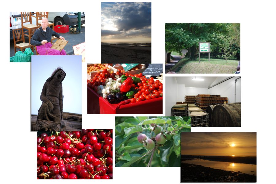 Collage May Normandy 4
