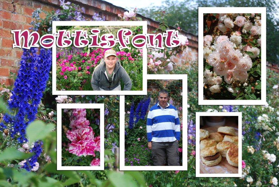 Collage July Mottisfont