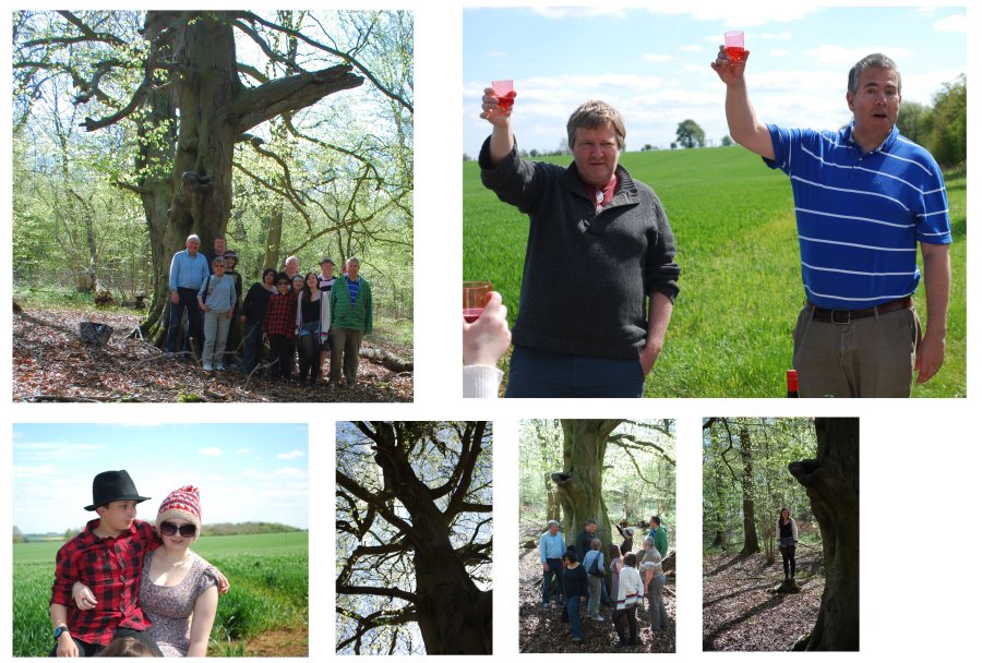 Collage May picnic 2