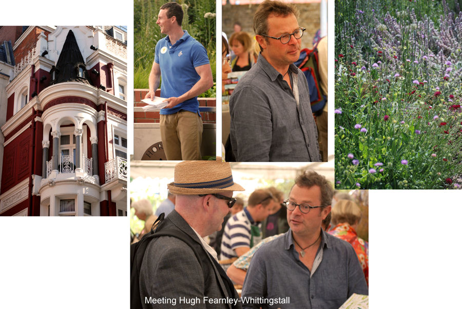 Collage June v