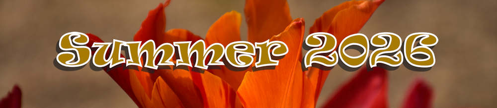 Banner.jpg