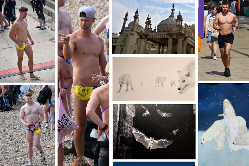 Collage 06 j.jpg