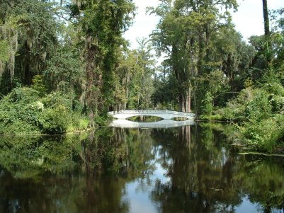 Bridge 2