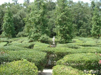 Maze