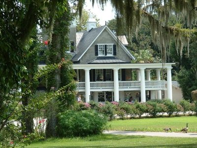 Plantation