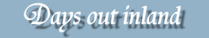 Banner inland