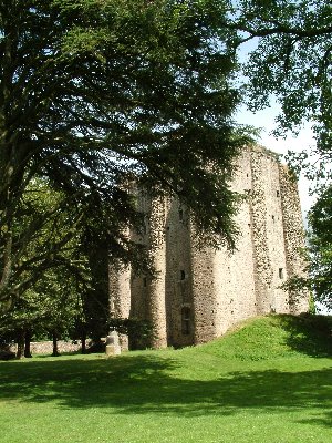 Extra c Pouzauges.jpg