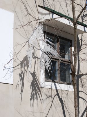 February Walhalla lb