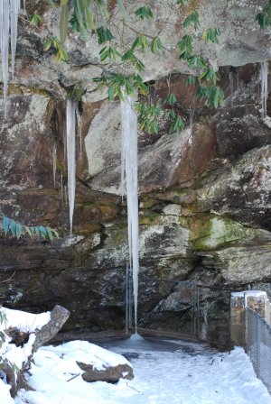 February Walhalla mf