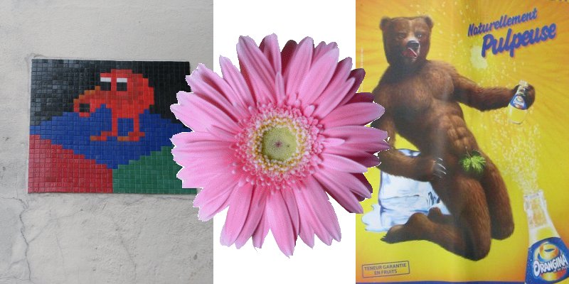 y Qbert & Muscle bear.jpg